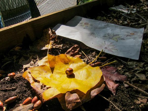 Land art project